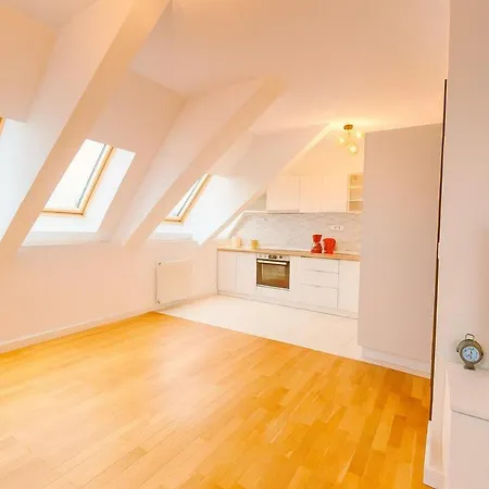 Skylight 16 *
